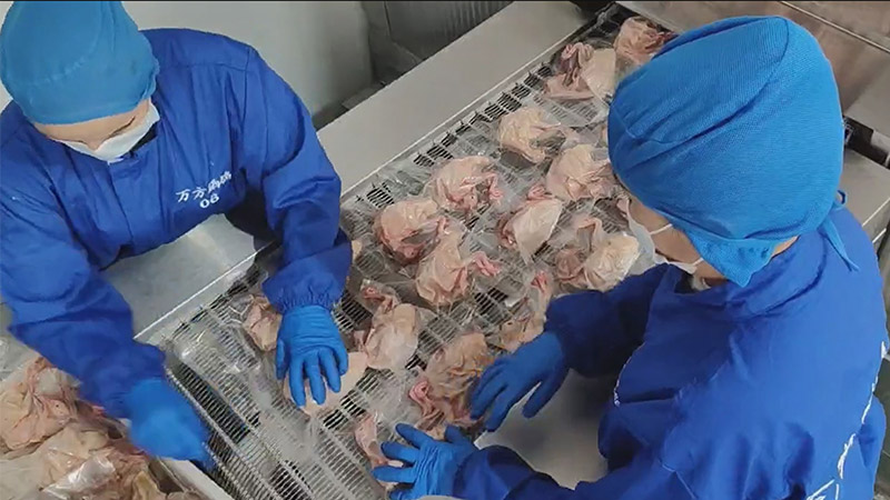 鼎泰盛速冻机护航，助力禽肉制品企业乳鸽加工鲜度